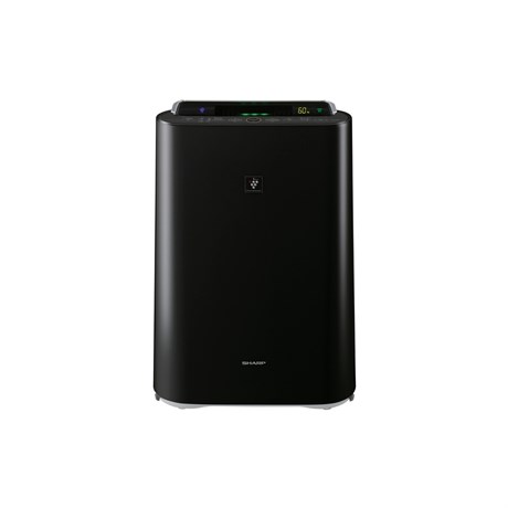фото: Очиститель воздуха Sharp KC-D 41 RB