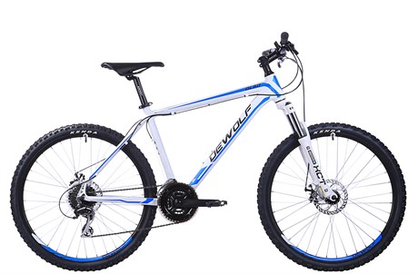фото: DEWOLF GL 60 20" white/black/bright blue (2016)