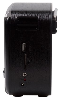фото: Радиоприемник Ritmix RPR-065