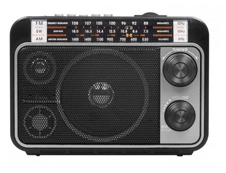 фото: Радиоприемник Ritmix RPR-171
