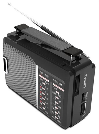 фото: Радиоприемник Ritmix RPR-190