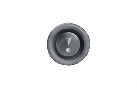 фото: Акустика JBL Flip 6 серый