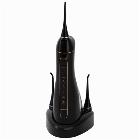 фото: Ирригатор Polaris PWF 0201 черный