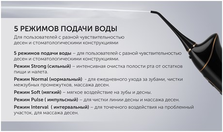 фото: Ирригатор Polaris PWF 0201 черный
