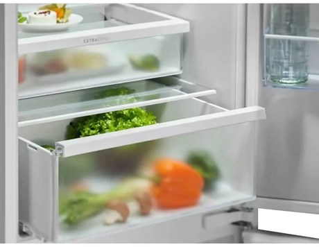фото: Холодильник Electrolux ENT6ME19S