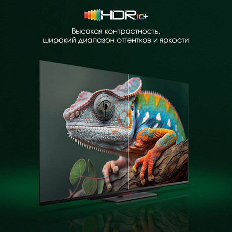 фото: Телевизор Digma Pro 55C