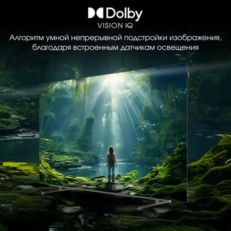 фото: Телевизор Digma Pro OLED 65M