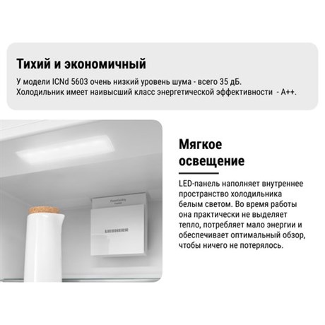 фото: Холодильник Liebherr ICNd 5603