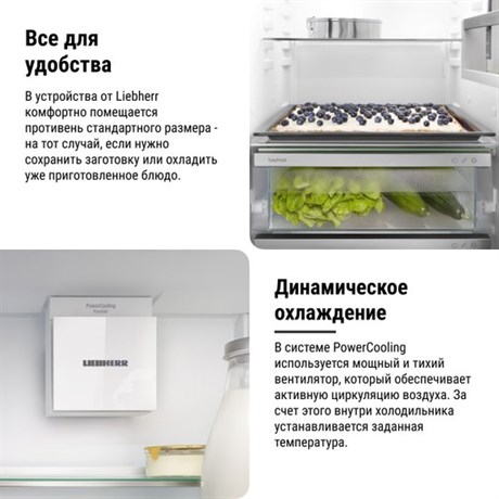 фото: Холодильник Liebherr ICNSd 5603