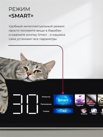 фото: Сушильная машина LEX LDM12GrBlThD