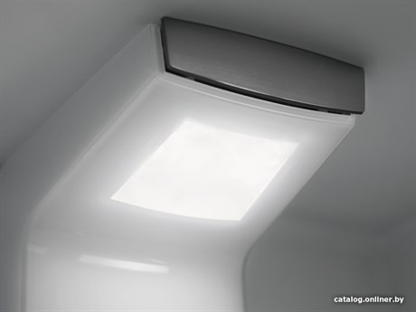 фото: Холодильник Electrolux LNS6TE19S