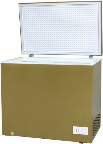 фото: Морозильная камера Willmark CF-310CS золотой