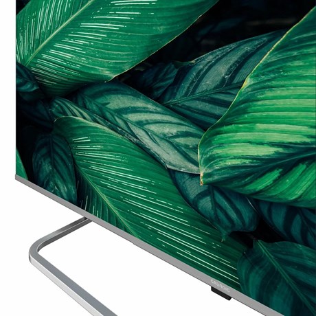 фото: Телевизор Grundig 65 NANO GH 8100