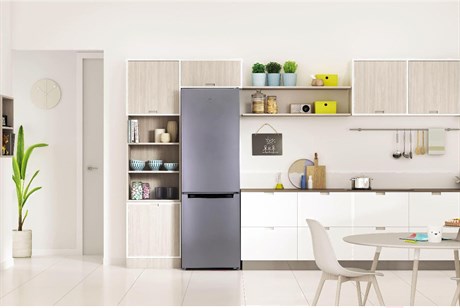 фото: Холодильник Indesit DS 4180 G