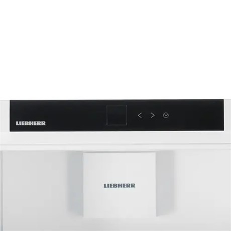 фото: Холодильник Liebherr ICBSd 5122-22 001