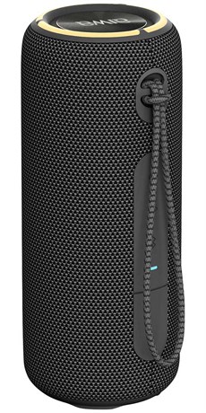 фото: Акустика AIWA PAS-H300 black