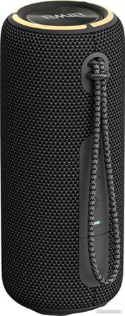 фото: Акустика AIWA PAS-H200 black