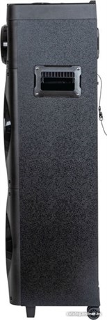 фото: Акустика AIWA CAS-1001