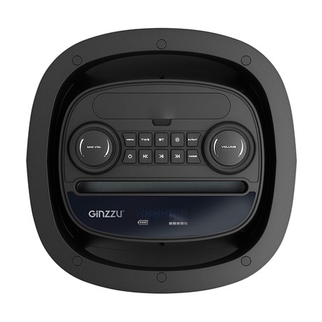 фото: Акустика Ginzzu GM-206