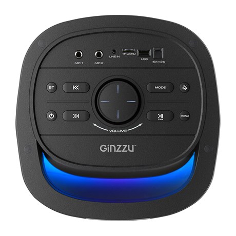 фото: Акустика Ginzzu GM-226