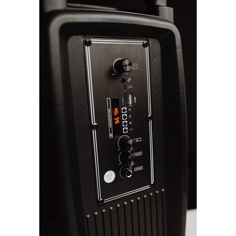 фото: Акустика More Choice BK22  Black