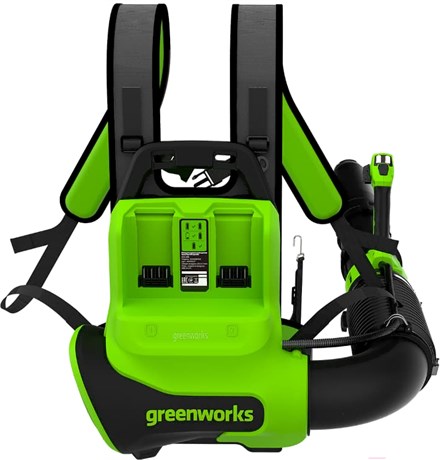 фото: Воздуходувка Greenworks GD40BPG2 40V