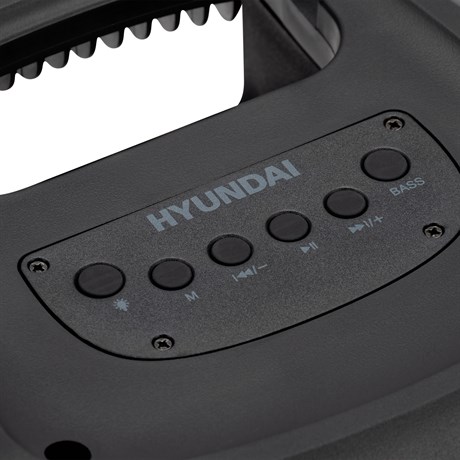 фото: Акустика Hyundai H-MC1230