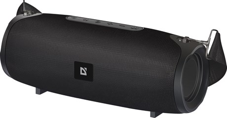 фото: Акустика DEFENDER G22