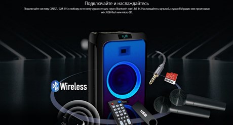 фото: Акустика Ginzzu GM-215