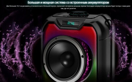 фото: Акустика Ginzzu GM-221