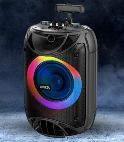 фото: Акустика Ginzzu GM-223