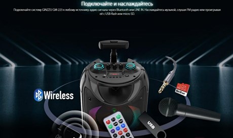 фото: Акустика Ginzzu GM-223