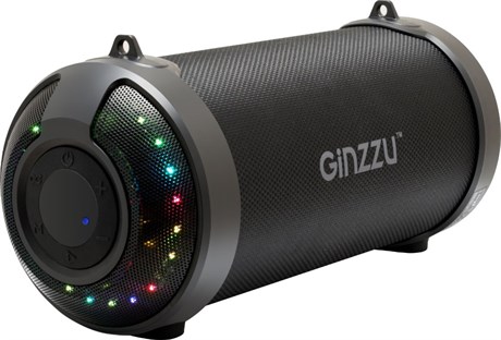фото: Акустика Ginzzu GM-906B