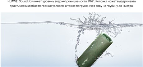 фото: Акустика Huawei Sound black