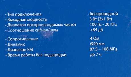 фото: Акустика Hyundai H-PAC100