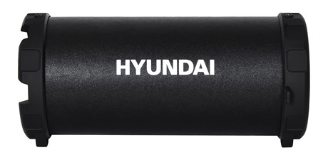 фото: Акустика Hyundai H-PAC220