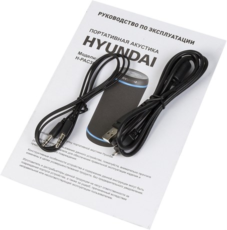 фото: Акустика Hyundai H-PAC380