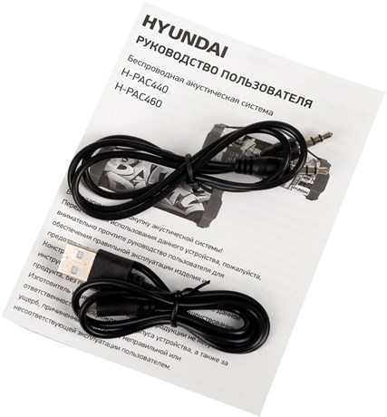 фото: Акустика Hyundai H-PAC440