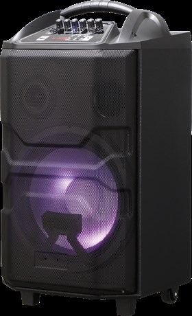 фото: Акустика National NSM-V550