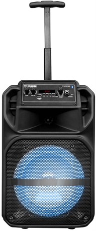 фото: Музыкальный центр Telefunken TF-PS2302