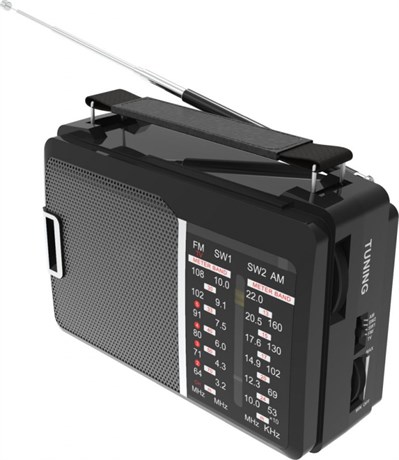 фото: Радиоприемник Ritmix RPR-190
