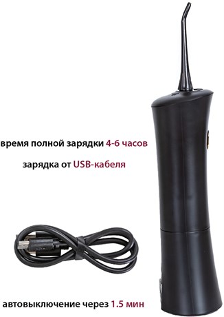 фото: Ирригатор Pioneer TI-1006