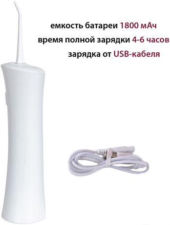 фото: Ирригатор Pioneer TI-1008