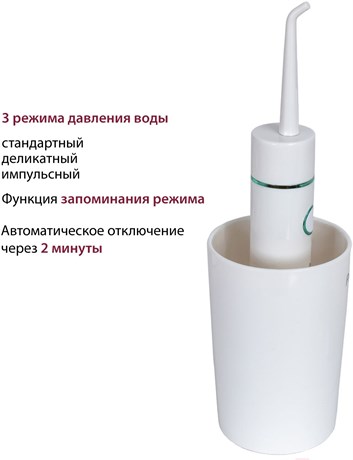 фото: Ирригатор Pioneer TI-1010