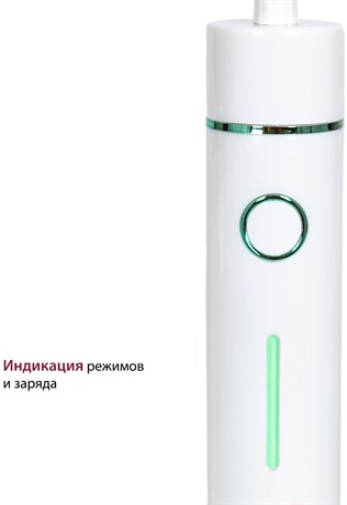 фото: Ирригатор Pioneer TI-1010