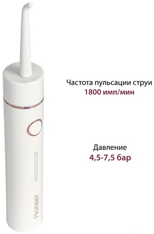 фото: Ирригатор Pioneer TI-1011