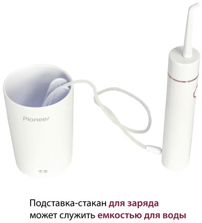 фото: Ирригатор Pioneer TI-1011