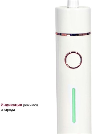 фото: Ирригатор Pioneer TI-1011