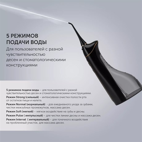 фото: Ирригатор Polaris PWF 0201 черный