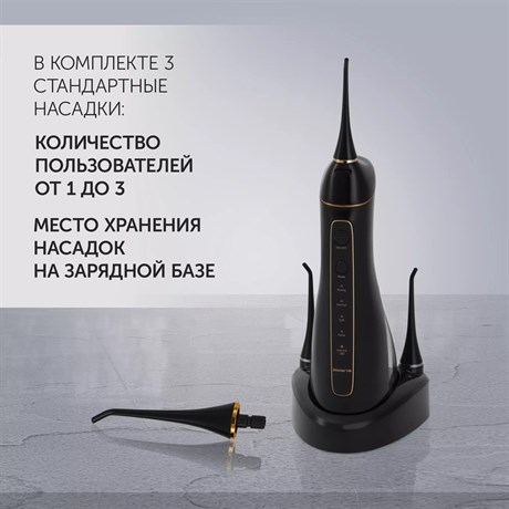 фото: Ирригатор Polaris PWF 0201 черный